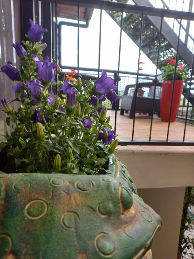 Rancha Azul Inn Alajuela Dış mekan fotoğraf