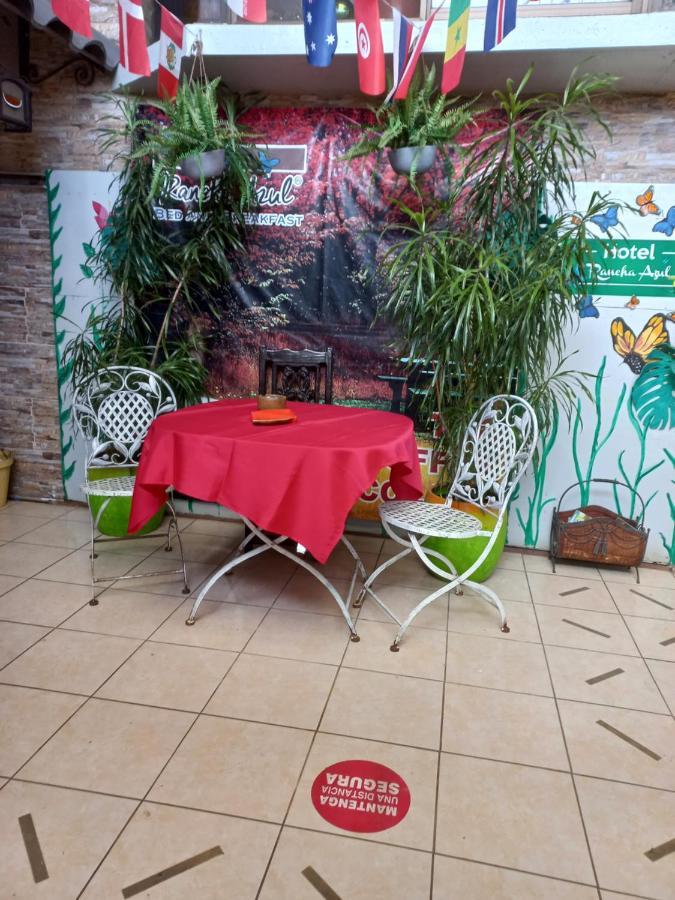 Rancha Azul Inn Alajuela Dış mekan fotoğraf