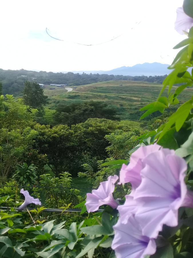 Rancha Azul Inn Alajuela Dış mekan fotoğraf